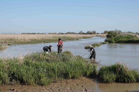 Les chercheurs de l'équipe FREEMA sur l'Ile Nouvelle