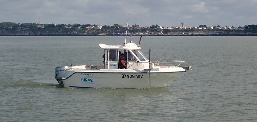 ouestu_2025