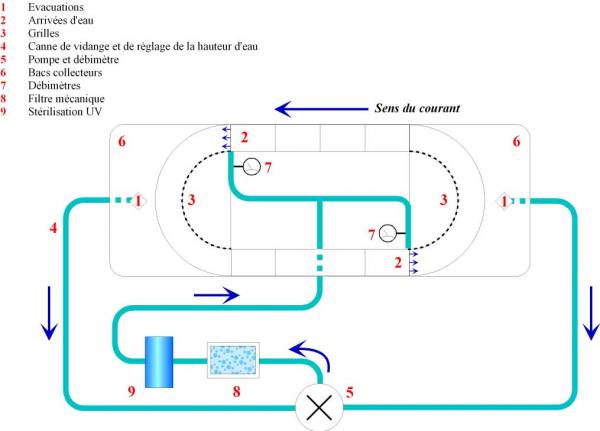 Plan de la structure expérimentale SCOLA