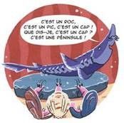 BD_Sturio